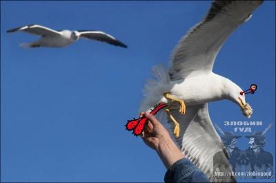 Прикрепленное изображение: dFuhWfuVIL0.jpg